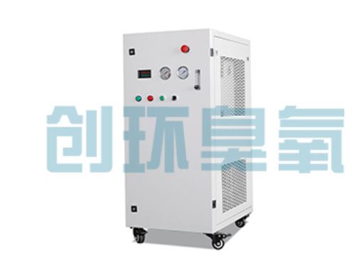 甘南石斑鱼养殖水质调控完整指南：臭氧发生器配置与操作步骤