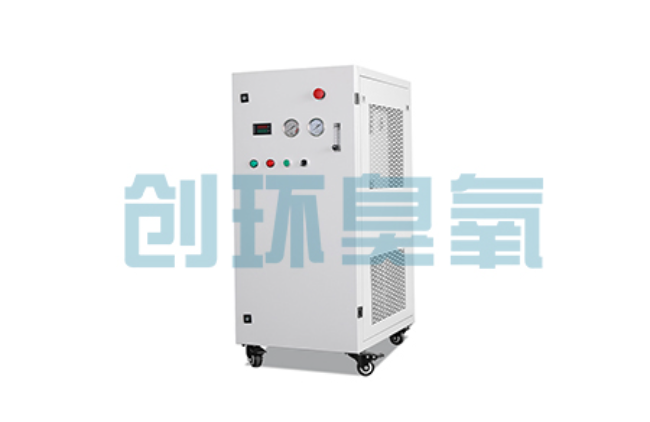 甘南比传统换水更高效？臭氧发生器在石斑鱼养殖中的水质净化原理解析